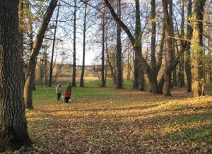 Старинный парк в деревне Юрово. Фото предоставлено И. В. Бахориной