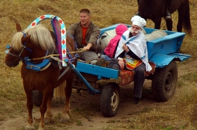В Великоустюгском районе прошел VII районный праздник лошади