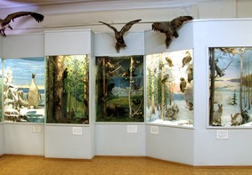 В Вологодском кремле открылась выставка «Неведома зверушка»