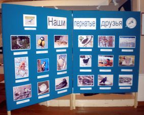 В Устюженском краеведческом музее проводятся мероприятия, посвященные Международному дню птиц