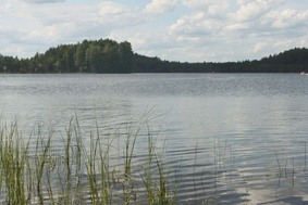 Исчезающее озеро – Шимозеро, расположенное в Вытегорском районе, было признано «Чудом финно-угорского мира»