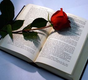 Вологодское общество книголюбов будет дарить цветы покупателям книг