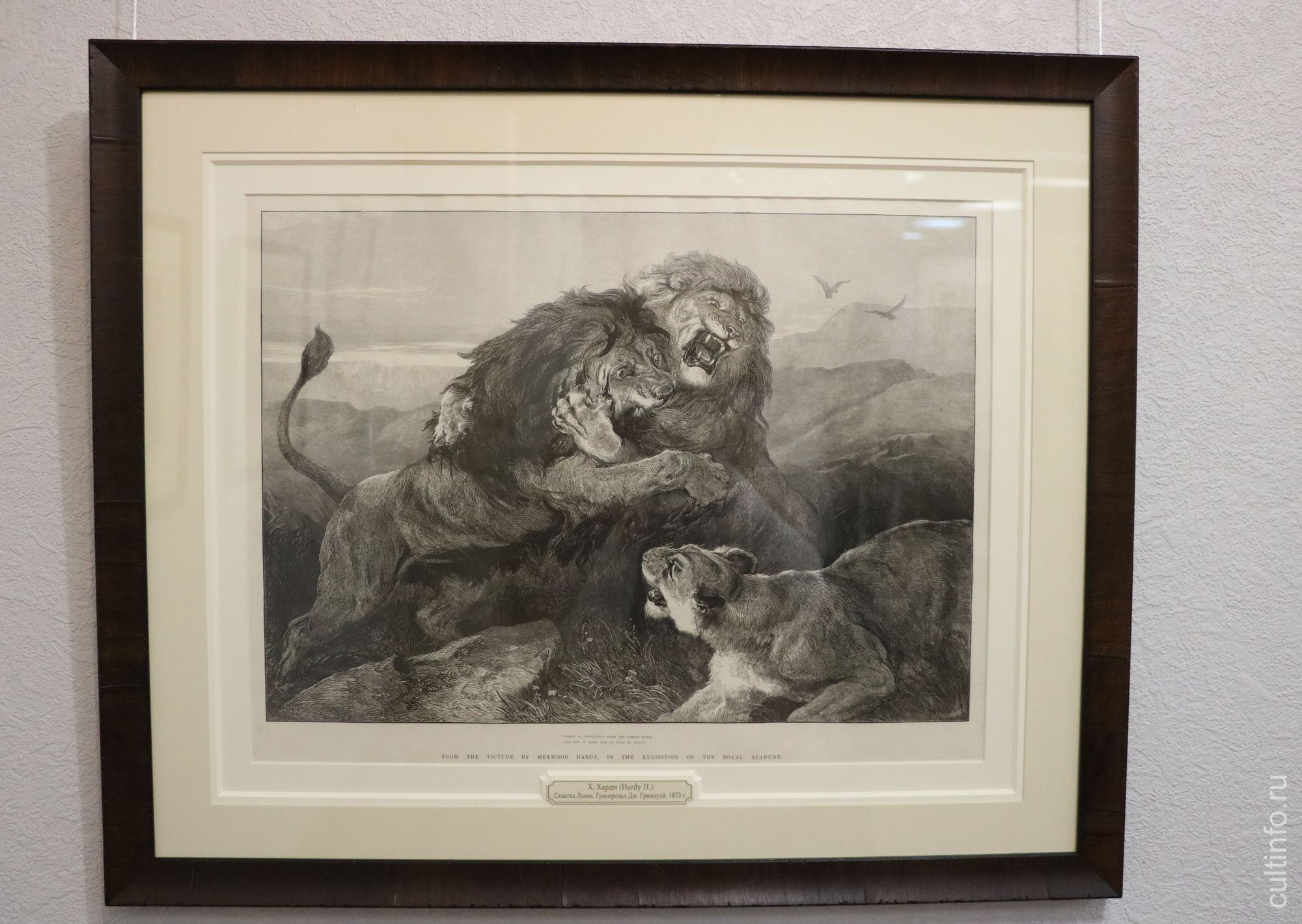 Х.Харди. Гравер – Дж.Гринэуэй. Схватка львов. 1873 г.