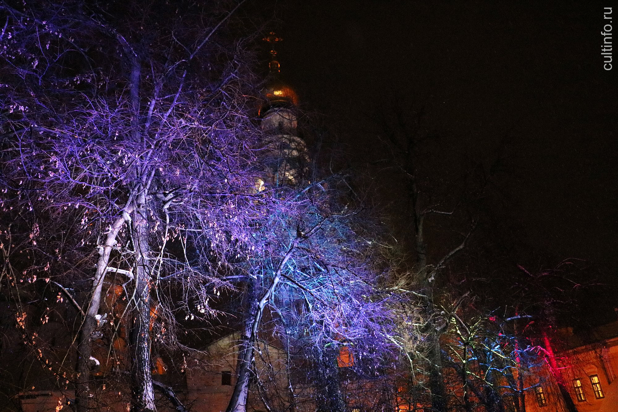 Настоящий вологодский Новый год наступает каждый вечер в Кремле 
