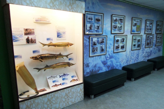Истории рыболовства посвящена новая выставка в Белозерском краеведческом музее