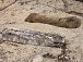 Единичное погребение, обнаруженное археологами