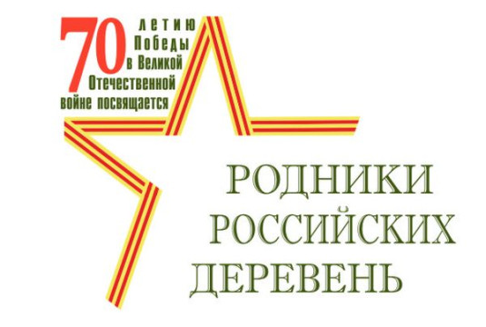 VI областной фестиваль «Родники российских деревень»