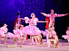 Концерт-спектакль представила вологжанам студия классического балета Детского музыкального театра