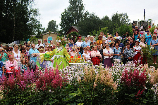 В усадьбе Хвалевское пройдет юбилейный фестиваль «Народный травник»