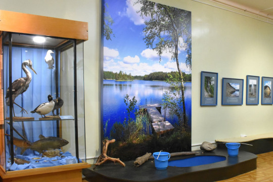 Великоустюгский музей посвятил новую выставку экологии