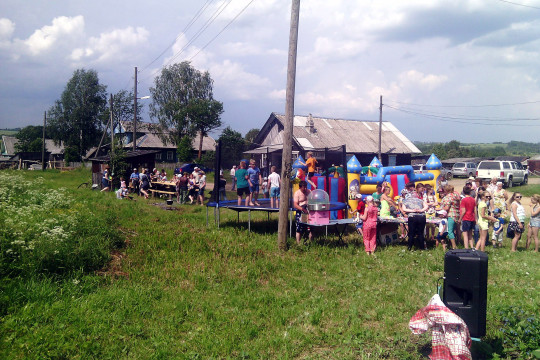 Троицкие гуляния с частушками и плясками прошли в деревнях Никольского района