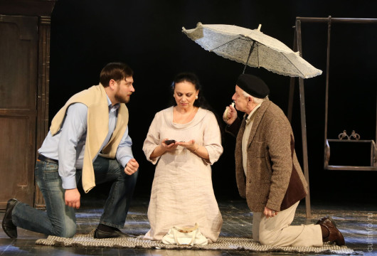 Премьера «Вишневого сада» в постановке Линаса Зайкаускаса, отложенная на год из-за пандемии, пройдет в Вологодском драмтеатре в эти выходные