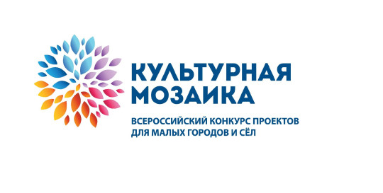 До 700 000 рублей на реализацию проектов могут получить жители Вологодской области