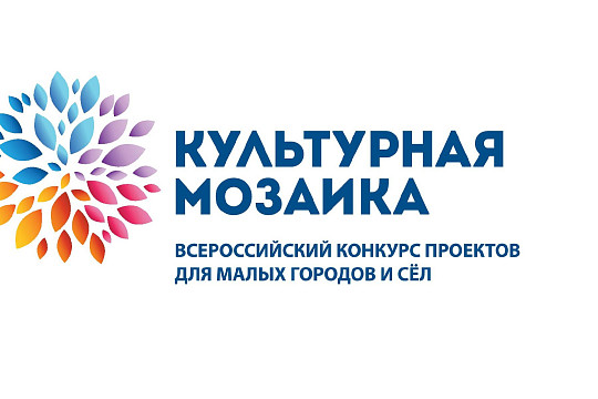 До 700 000 рублей на реализацию проектов могут получить жители Вологодской области