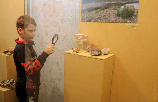 Получить социальный сертификат на путешествия школьников по региону могут жители 4 районов Вологодской области