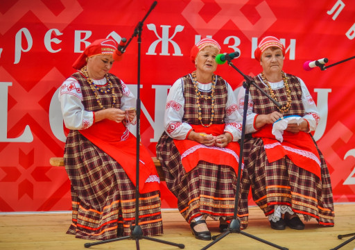 Вепсский фольклорный коллектив «Гёгут» представит Вологодчину на Всероссийском фестивале «Напевы северного ветра»