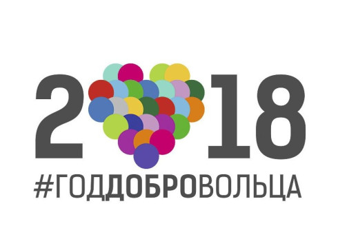 Вологодские волонтеры представили 207 проектов на конкурс «Доброволец России – 2018»