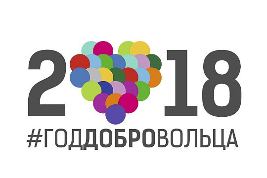 Вологодские волонтеры представили 207 проектов на конкурс «Доброволец России – 2018»
