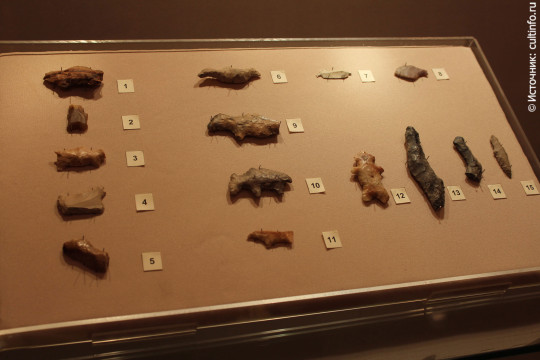 С «Кремневыми тайнами эпохи энеолита» предлагает познакомиться отдел природы Вологодского музея-заповедника