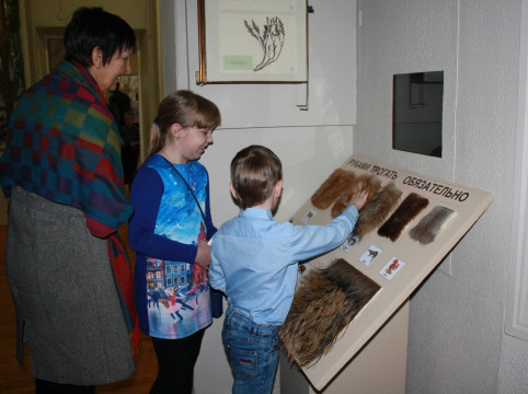 Стенд с тактильными экспонатами появился в Отделе природы Вологодского музея-заповедника