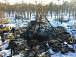 Поисковые работы в Тешемлевском болоте, на месте крушения самолета ПЕ-2. Фото сайта vop35.ru