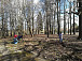 Парк в усадьбе Котельниково, где расположен Дом-музей Можайского. Фото vk.com/dommozhaiskogo