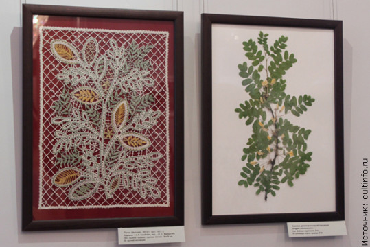 Букет ярких весенний эмоций дарит посетителям Музея кружева выставка «Кружевной гербарий»