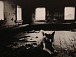 Фотовыставка Николая Карачёва «Русь уходящая...» в Музее-квартире Белова