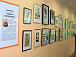 Выставка Эдуарда Фролова «Графика. Дизайн книги» открылась в спецбиблиотеке