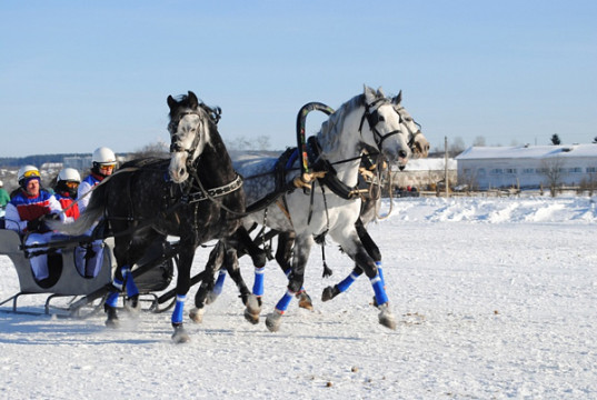 23 февраля 2013 года в д. Ерофейка Вологодского района пройдет традиционный «Праздник коня».