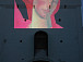 Полотна художников Джанны Тутунджан, Михаила Копьева и Георгия Попова показали в Кириллове на 37-метровой высоте