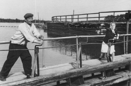 О том, какие грузы перевозили по Мариинской водной системе в начале XX века, рассказывает архивный проект «Между Волгой и Балтикой»
