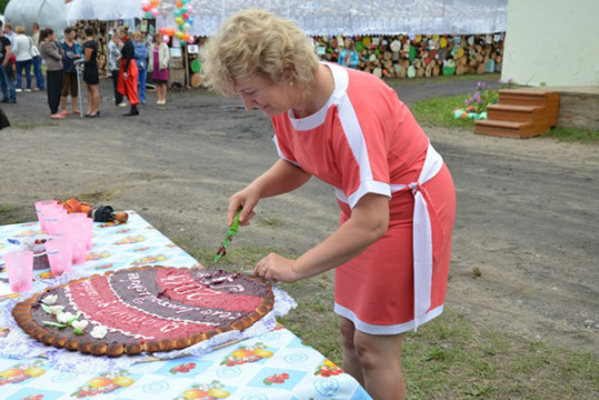 Ягодный фестиваль «Малиновый звон» пройдет в селе Михайловском Харовского района 26 июля