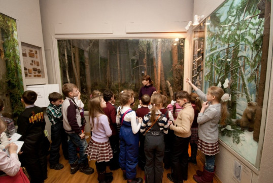 В главной экспозиции Вологодского музея-заповедника отметят День леса