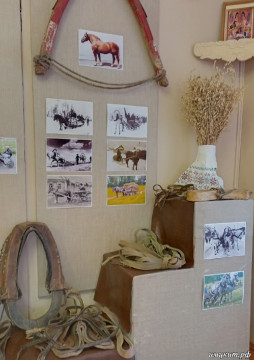 Этнографическая выставка «Лошадь в хозяйстве и бытовой деятельности» открылась в Никольске
