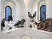 Выставка таксидермических скульптур «Мир за железной дверью» в Вологодском музее-заповеднике