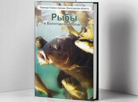 О книге «Рыбы в Вологодской области» расскажут ее авторы посетителям музея-заповедника