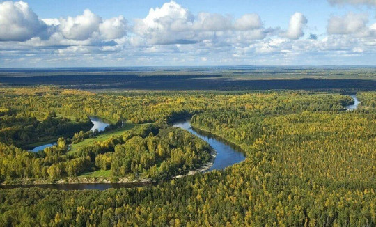 Выставка «Природа Вологодской области» откроется в «Русском доме»
