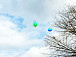 Воздушные шарики, которые по доброй традиции запустили участники акции