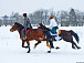 Праздник коня. Фото Елены Белозоровой