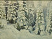 Александр Борисов. Зимняя сказка. Из цикла картин «Зима на Северной Двине». 1913
