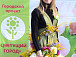 Масштабный цветочный праздник пройдет в четверг в Кремлевском саду