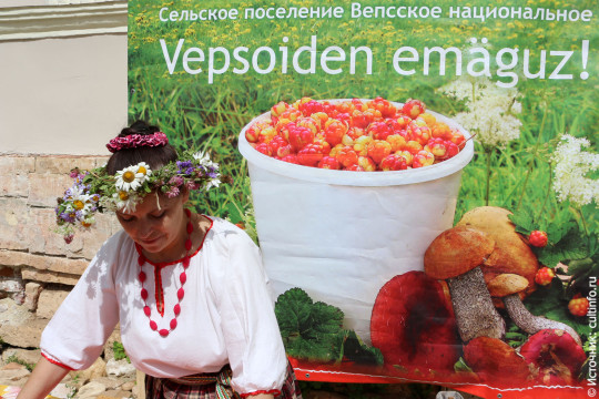 «Древо жизни» приглашает всех в деревню Макарьевская 