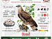О пернатых жителях Череповца рассказывает проект «Птицы наших парков». Фото vk.com/museum_prirody_cherepovets