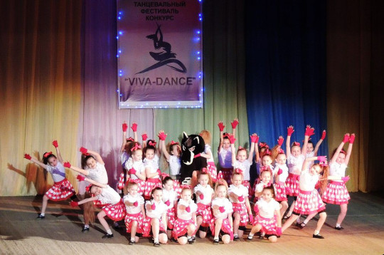 Более 40 вологодских танцевальных коллективов примут участие в фестивале-конкурсе «Viva Dance» в Соколе