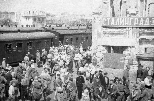 Вологжанам предлагают принять участие в видеоакции, посвященной 80-летию победы в Сталинградской битве