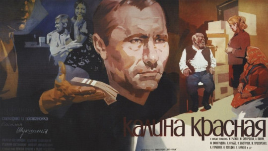 В Белозерске откроют памятный знак Василию Шукшину и фильму «Калина красная»