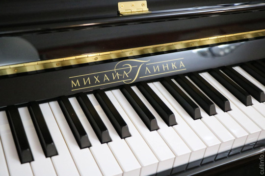 16 школ искусств области получат новые пианино «Михаил Глинка»