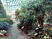 Ботанический сад «Ботаника» 
