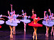 Студия балета Детского музыкального театра Вологды отметила 30-летний юбилей большим праздничным концертом